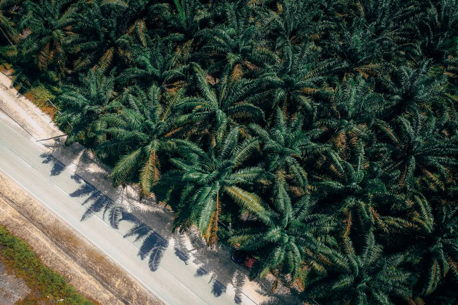 Bahlil Nilai Nagan Raya Berpotensi untuk Hilirisasi dan Investasi, Bupati TRK Paparkan Peluang Daerah