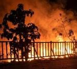 Daftar Makanan Tinggi Zat Besi untuk Cegah Anemia dan Jaga Daya Tahan Tubuh