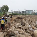 PalmCo Tebar 60 Ribu Bibit Ikan Baung dan Nila di 12 Sungai Riau
