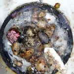 Bantul Siapkan Pemindahan Rute Jeep untuk Lindungi Gumuk Pasir