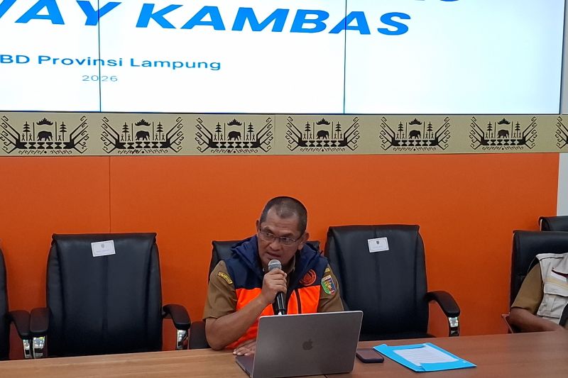 Ilustrasi kebakaran hutan Way Kambas