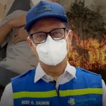 Benarkah Bulu Kucing Picu Alergi? Ini Penjelasan Pemicu Sebenarnya dan Cara Menguranginya