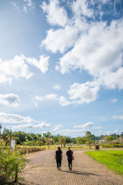 Tips Kelola Stres dengan Jalan Kaki dan Latihan Napas