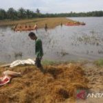Pernah Bertugas di Aceh, Ini Perjalanan Karier Brigjen Muhammad Nas yang Kini Jadi Kapuspen TNI