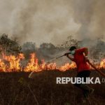 Upaya pencegahan kebakaran hutan dan lahan di Indonesia