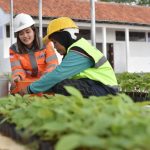 Pabrik semen dengan silo dan cerobong di kawasan industri