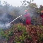 Asap kebakaran lahan mengepul di atas hamparan lahan di Sumatera Selatan