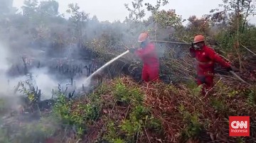 Asap kebakaran lahan mengepul di atas hamparan lahan di Sumatera Selatan