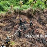 Hamparan lahan gambut dan hutan mangrove yang dipantau dari udara