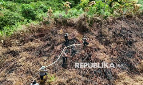 Hamparan lahan gambut dan hutan mangrove yang dipantau dari udara