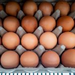 Telur dan produk olahan telur di rak toko sebagai ilustrasi klaim telur lab-grown