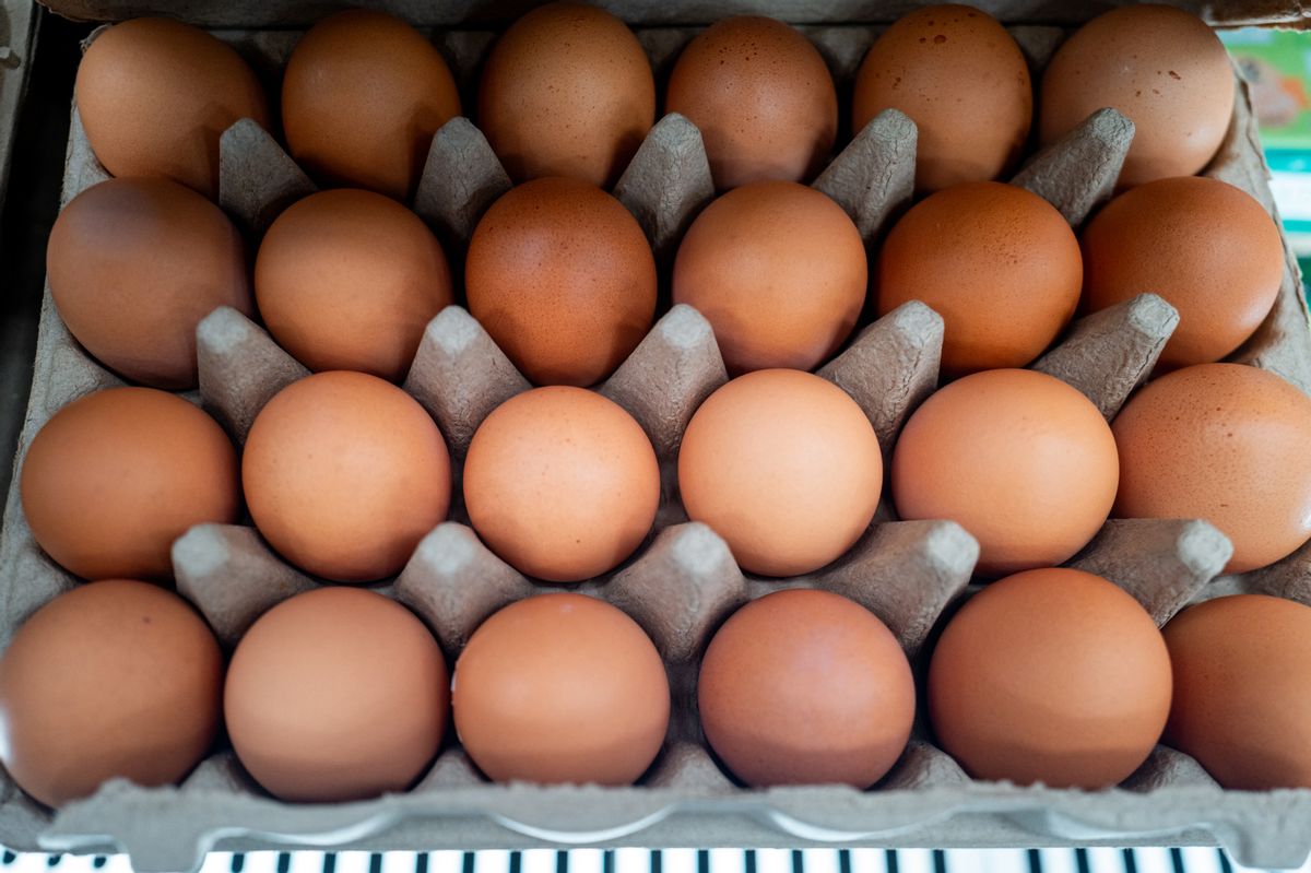 Telur dan produk olahan telur di rak toko sebagai ilustrasi klaim telur lab-grown