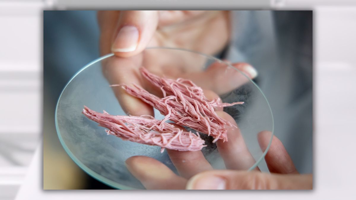 Produk daging nabati cetak 3D yang dikemas sebagai produk premium plant-based