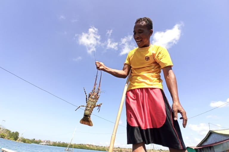 Lobster segar di atas es di pasar ikan, dengan latar pedagang dan pembeli