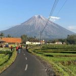 Hamparan kebun agrowisata yang hijau di kaki Gunung Semeru, Lumajang