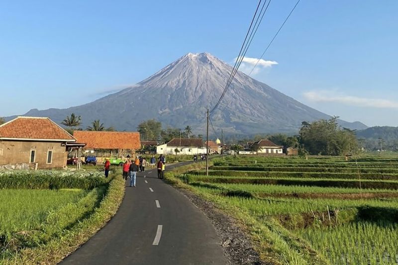 Hamparan kebun agrowisata yang hijau di kaki Gunung Semeru, Lumajang