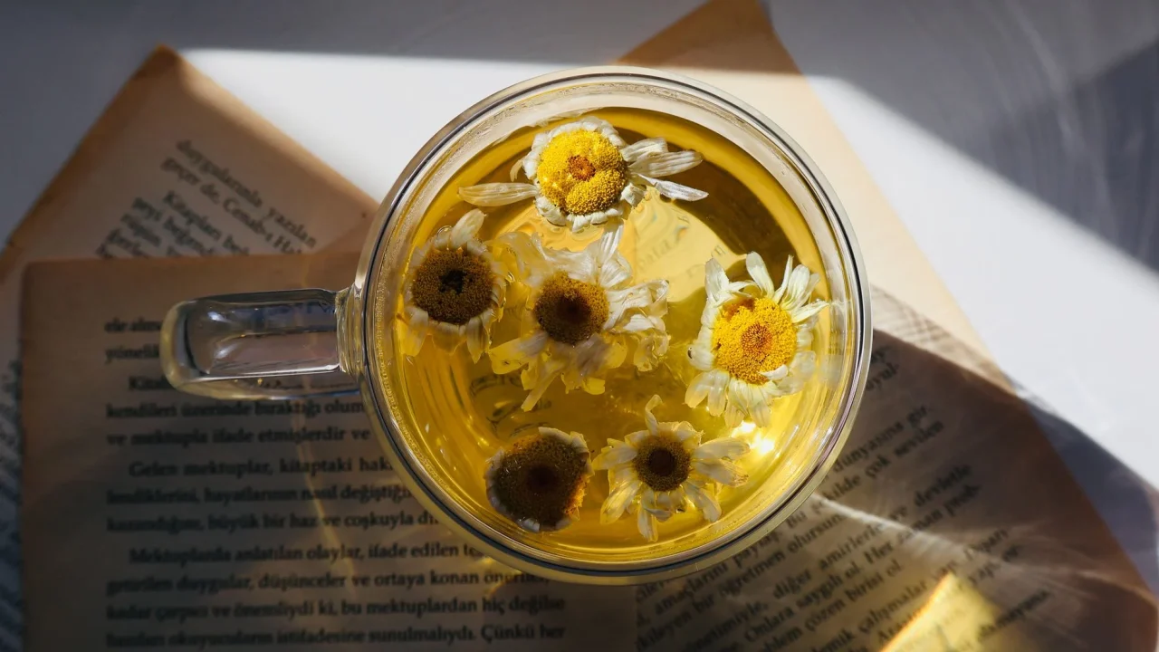 chamomile tea light healthy meal