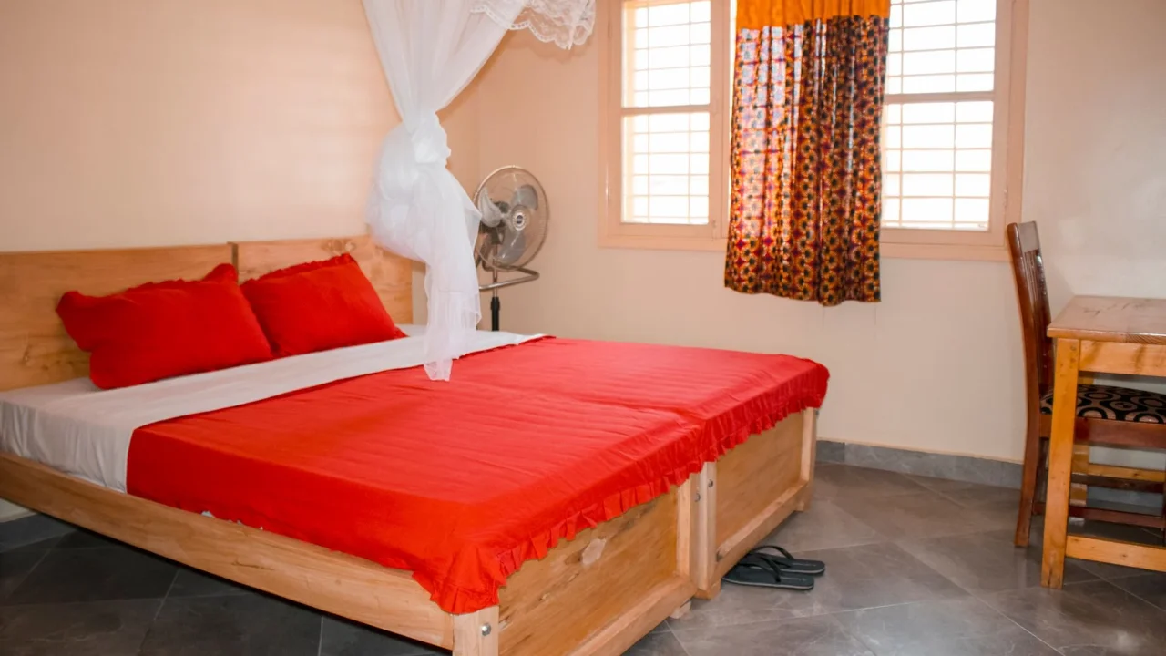 clean home environment mosquito net