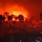 Kebakaran hutan di malam hari dengan kobaran api oranye dan asap tebal di antara pepohonan yang menghitam