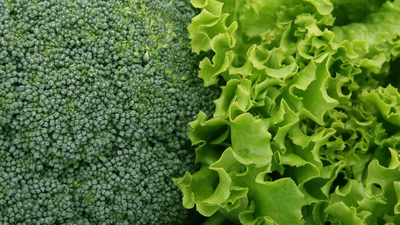 fresh vegetables green leafy vegetables