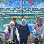 Jajaran BP-GMN menyiram bibit mangrove di Banyuasin di depan spanduk penanaman mangrove
