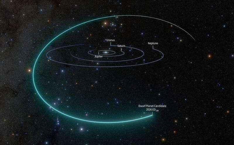 Diagram jalur orbit kandidat planet katai 2026 ED138 di Tata Surya bagian luar