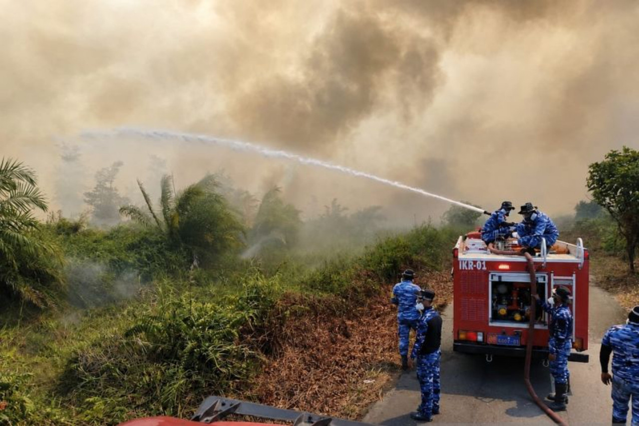 Asap kebakaran hutan dan lahan mengepul di kawasan konsesi di Kalimantan