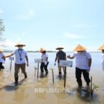BRIN dan YKAN Perkuat Restorasi Gambut dengan Pendekatan Sains