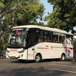 Bus listrik putih buatan industri manufaktur terparkir di jalan yang rindang