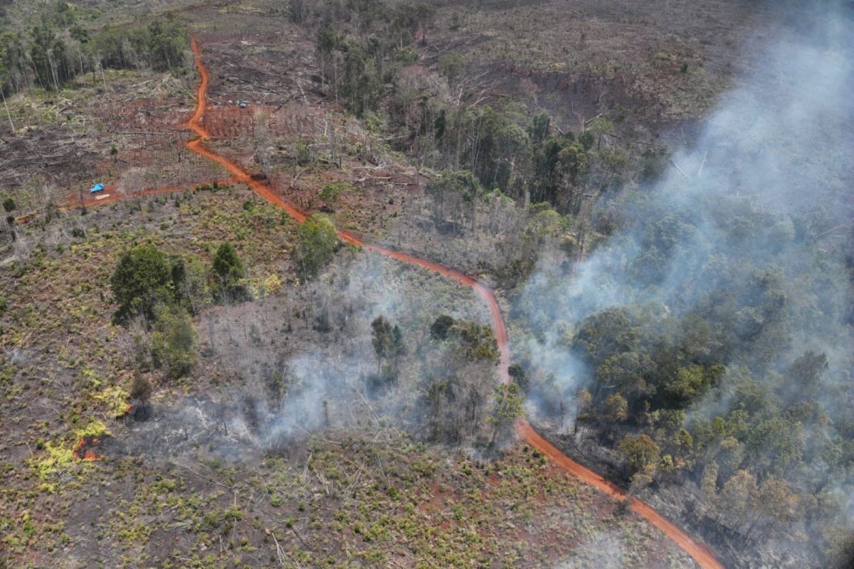 Petugas memadamkan kebakaran hutan dan lahan dengan latar asap tebal