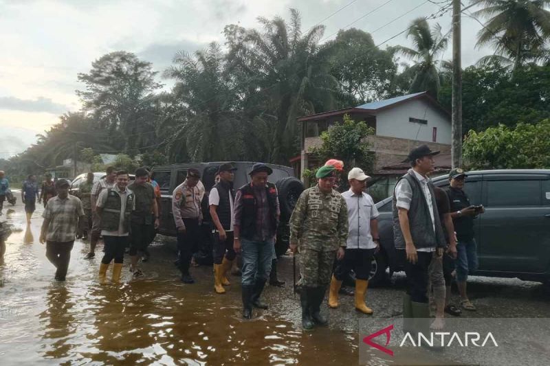 Bupati Aceh Selatan meninjau kawasan permukiman yang terendam banjir di Kecamatan Trumon Tengah