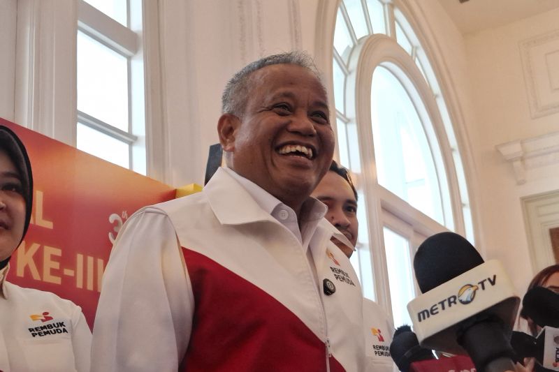 Sapi perah di peternakan yang sedang merumput
