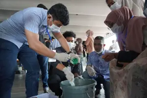 Peserta pelatihan menuangkan cairan ke dalam ember saat praktik pengolahan minyak nilam