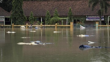 Halaman dan bangunan yang tergenang banjir dengan puing-puing mengapung di permukaan air