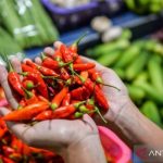BMKG: Mayoritas Kota Besar Berpotensi Hujan Hari Ini, Tujuh Kota Waspada Hujan Lebat