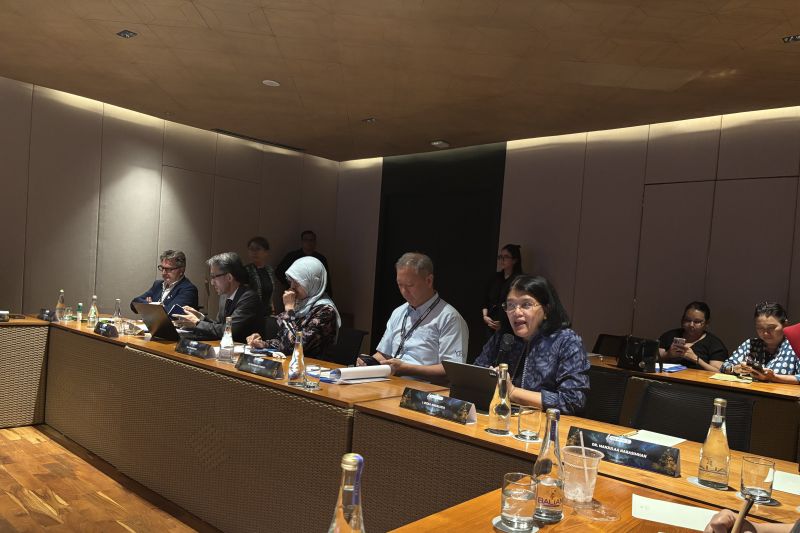 Sejumlah orang duduk di meja panjang dalam sebuah ruang rapat, seorang perempuan berbicara melalui mikrofon