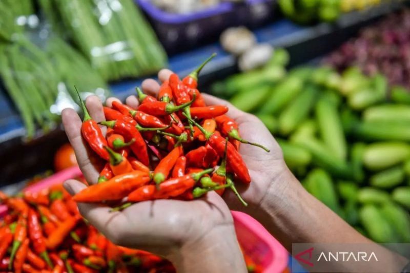 Harga cabai rawit merah dan telur ayam ras berdasarkan data PIHPS Nasional