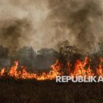 Api membakar lahan dengan asap tebal