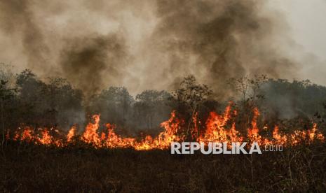 Api membakar lahan dengan asap tebal