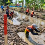 Petani dan petugas memeriksa lahan sawah yang kekeringan di bawah terik matahari