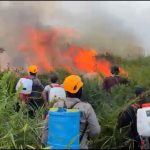 Petugas pemadam membawa alat semprot punggung menghadapi kobaran api kebakaran hutan dan lahan