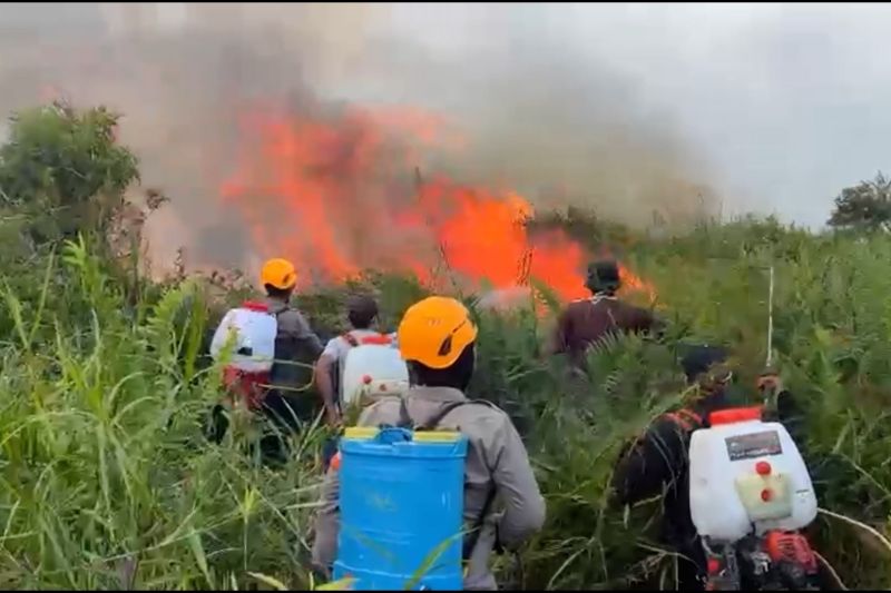 Petugas pemadam membawa alat semprot punggung menghadapi kobaran api kebakaran hutan dan lahan
