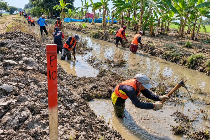 Petani dan petugas memeriksa lahan sawah yang kekeringan di bawah terik matahari
