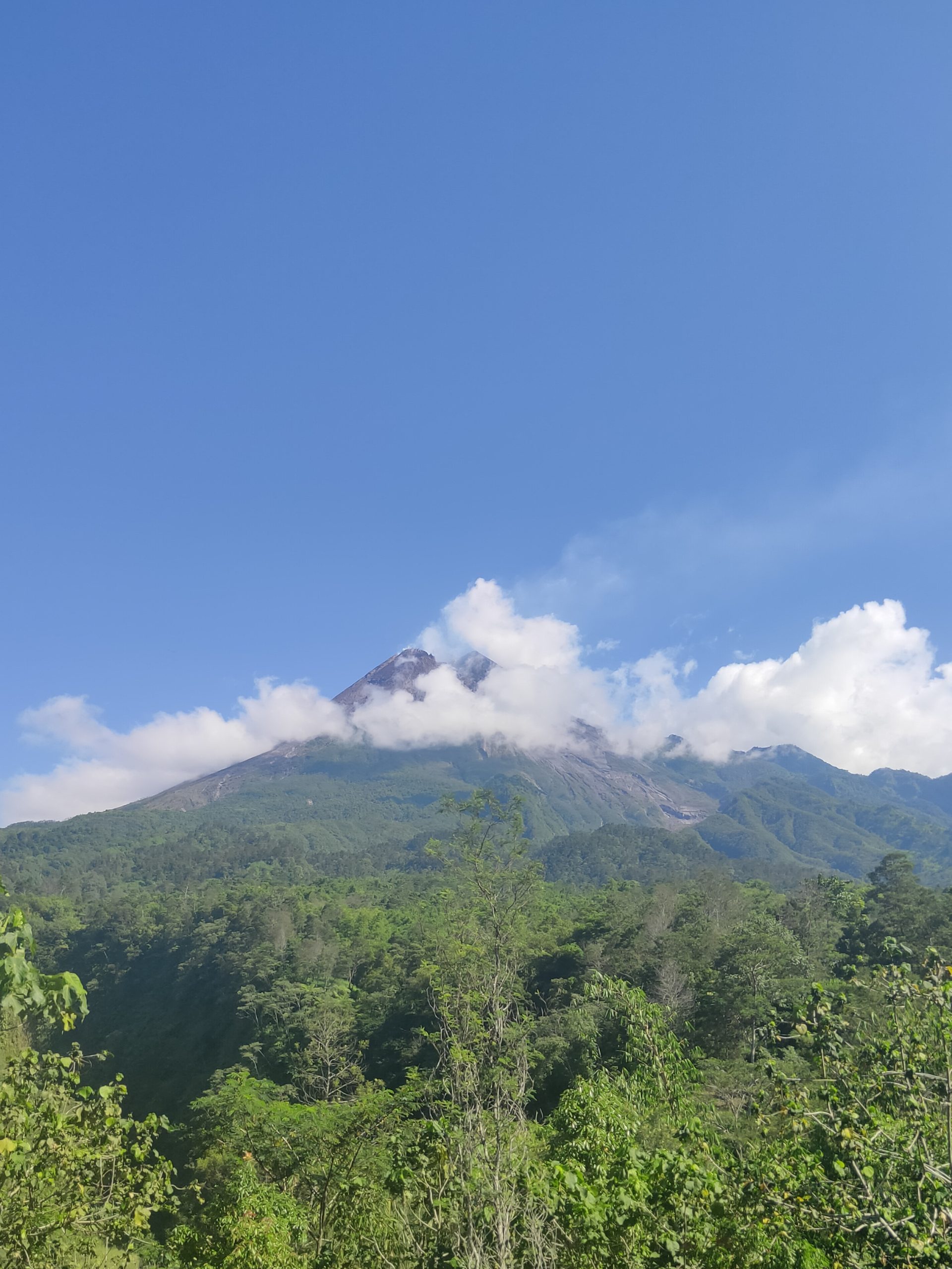Puncak Gunung Merapi yang diselimuti awan di atas lereng hijau pada hari cerah