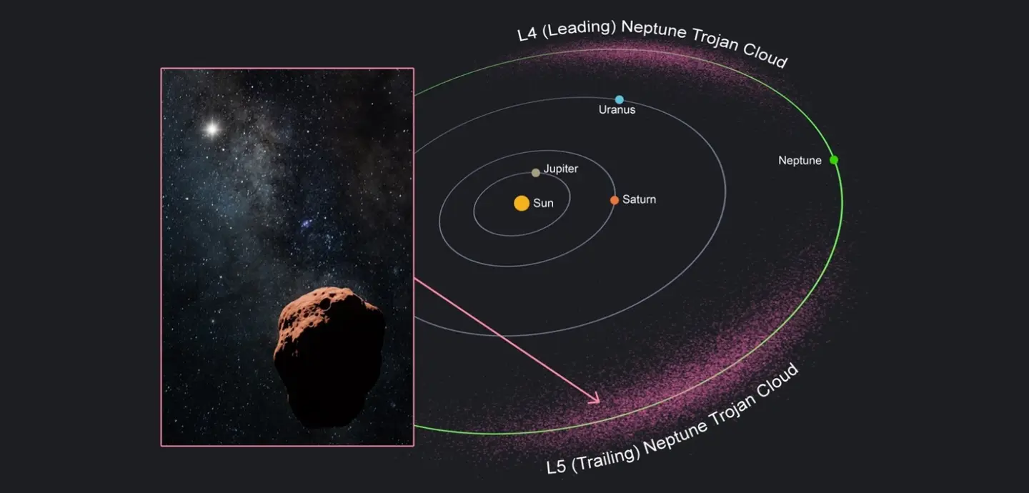 Diagram orbit Tata Surya yang menunjukkan awan asteroid Trojan Neptunus di titik L4 dan L5, dengan gambar close-up asteroid berbatu di latar bintang