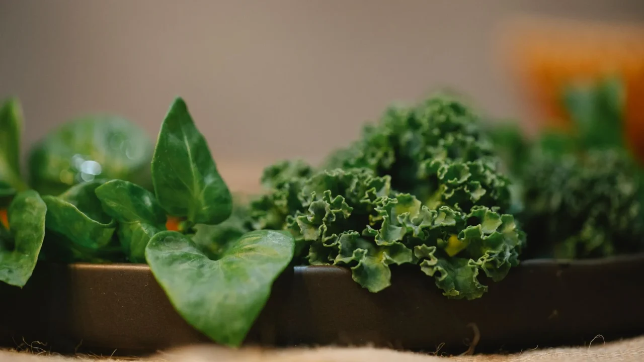 spinach bowl kale leaves