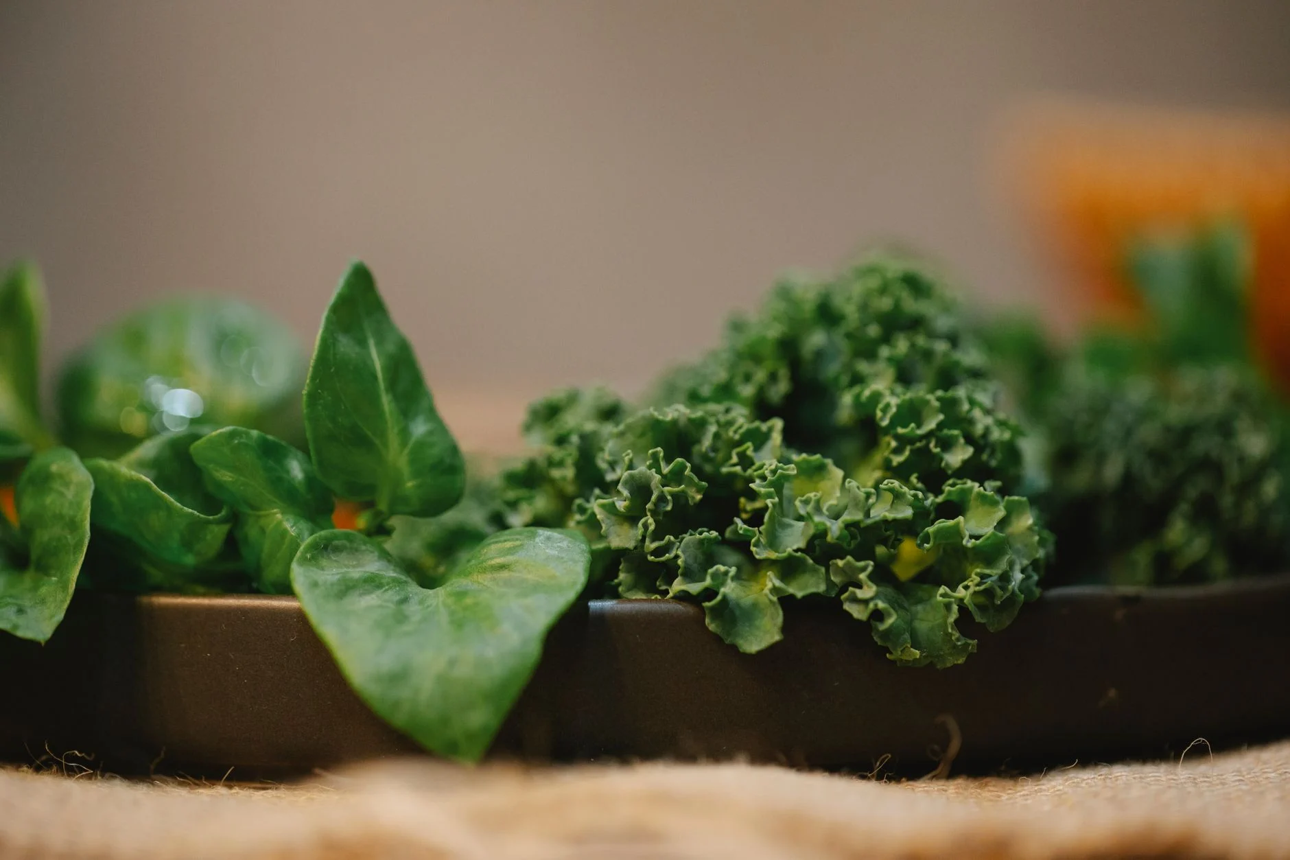 spinach bowl kale leaves