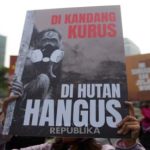 Asap kebakaran hutan dan lahan membumbung di wilayah Papua Selatan