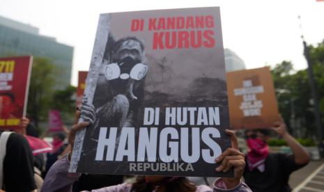Asap kebakaran hutan dan lahan membumbung di wilayah Papua Selatan