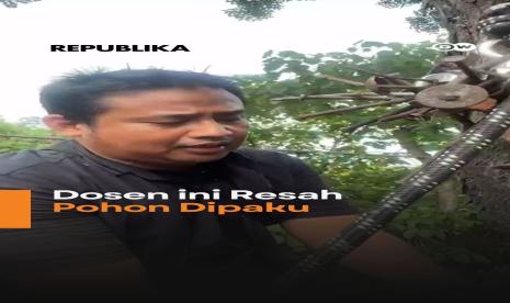 Seorang dosen mencabut paku yang menancap di batang pohon